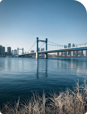 桥梁设计师的专业